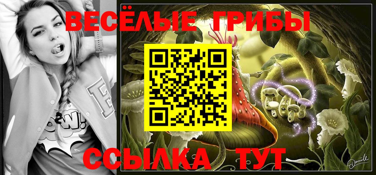 Галлюциногенные грибы Psilocybe  купить закладку  Нефтекамск  Вход с VPN 